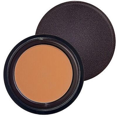 SECRET CONCEALER