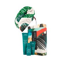 AVEDA BOTANICAL REPAIR SET