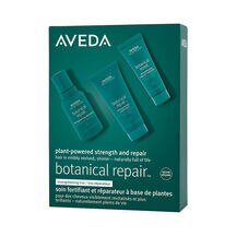 BOTANICAL REPAIR DISCOVERY SET (SET PARA CABELLO)