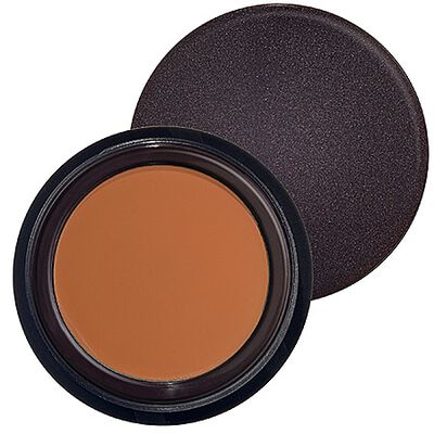 SECRET CONCEALER