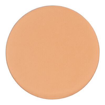 LOCK-IT BLOTTING POWDER REFILL