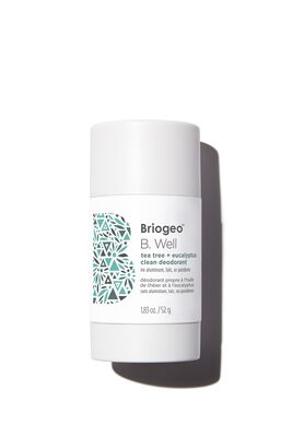 B. WELL&trade; TEA TREE + EUCALYPTUS CLEAN DEODORANT