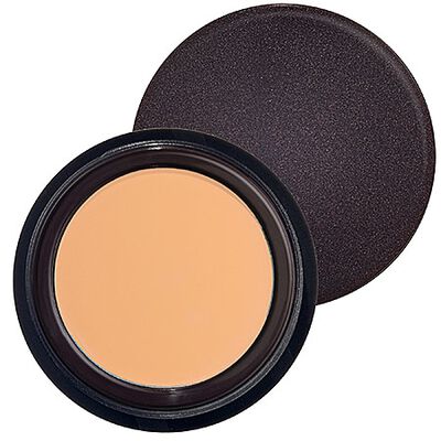 SECRET CONCEALER