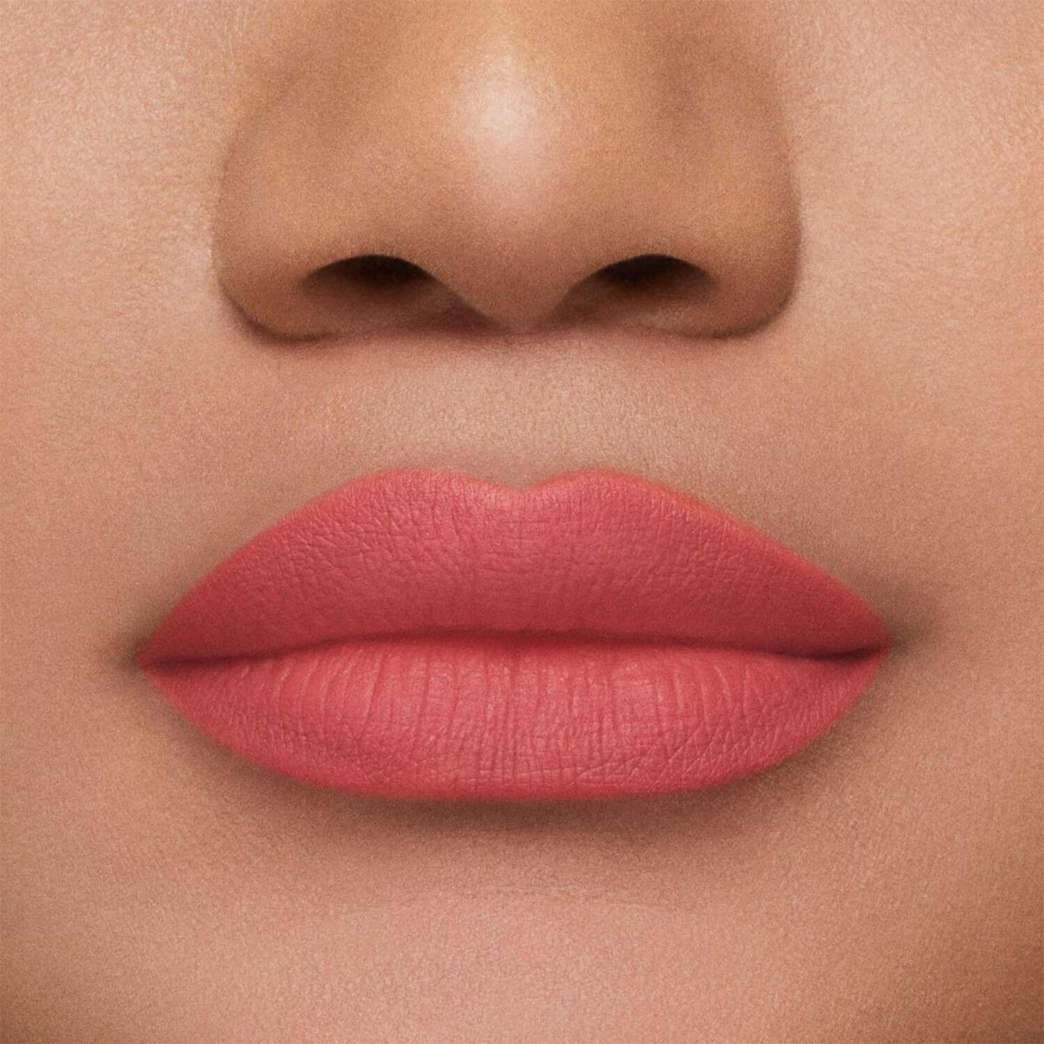 STAY ALL DAY MATTE LIP COLOR (L&Aacute;PIZ LABIAL)