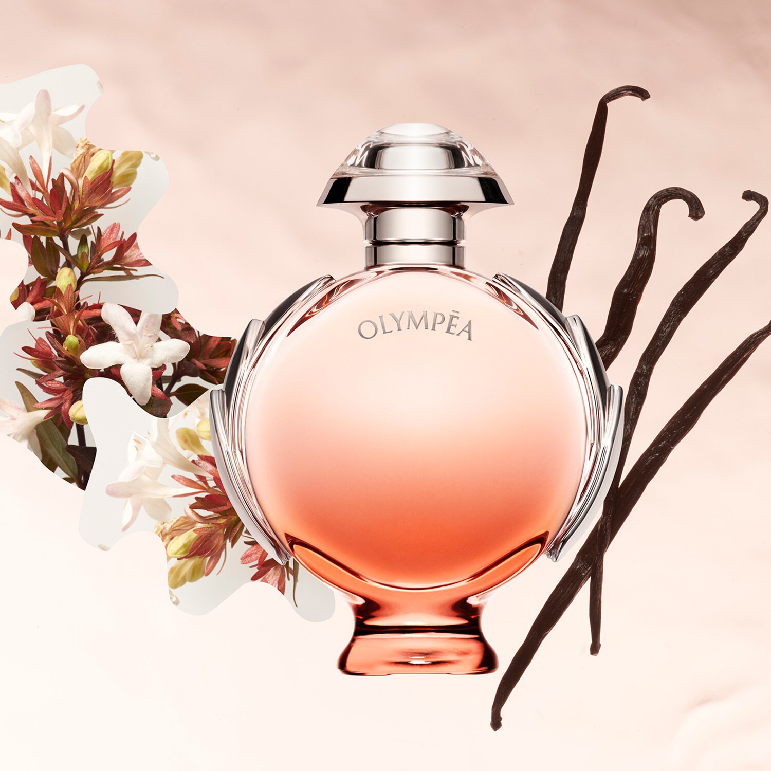 OLYMP&Eacute;A AQUA EAU DE TOILETTE  80ML