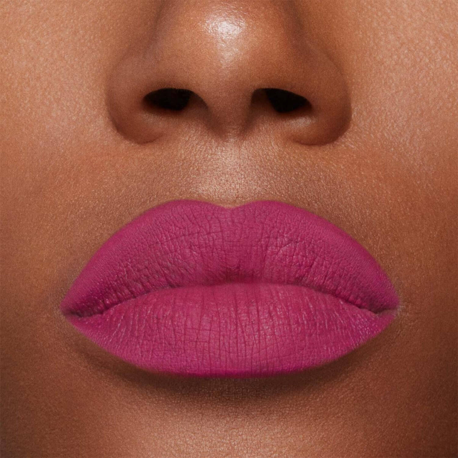 STAY ALL DAY MATTE LIP COLOR (L&Aacute;PIZ LABIAL)