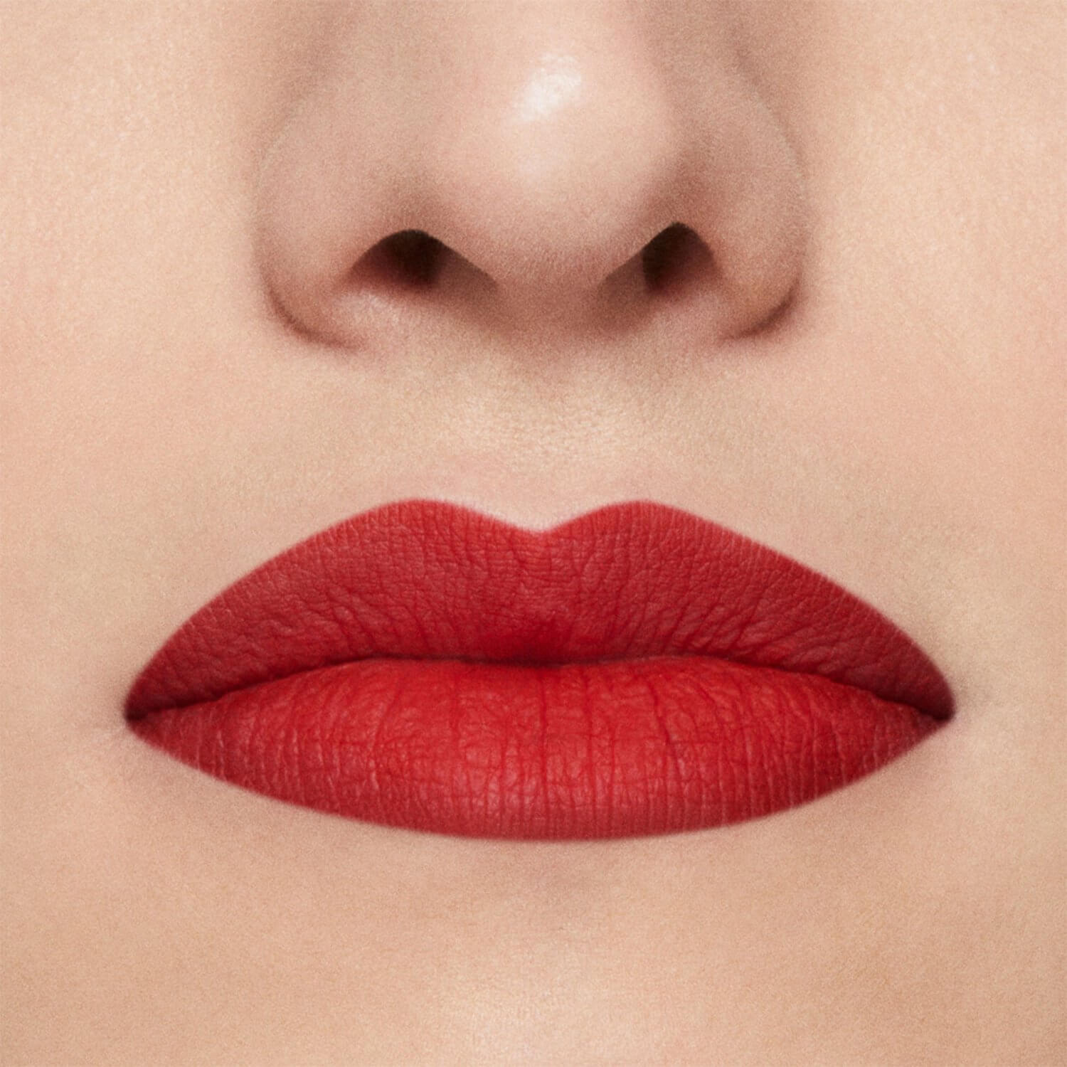 STAY ALL DAY MATTE LIP COLOR (L&Aacute;PIZ LABIAL)