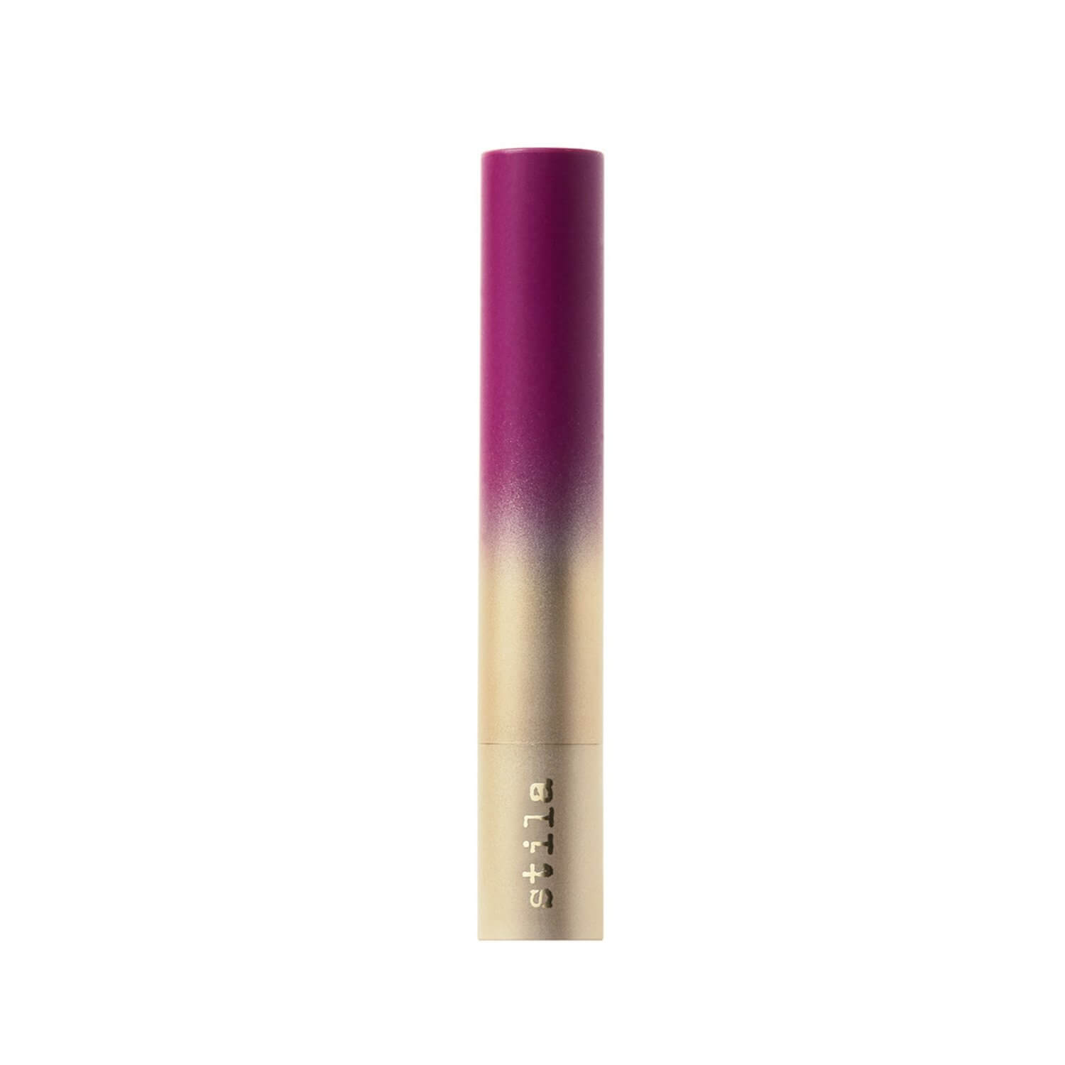 STAY ALL DAY MATTE LIP COLOR (L&Aacute;PIZ LABIAL)
