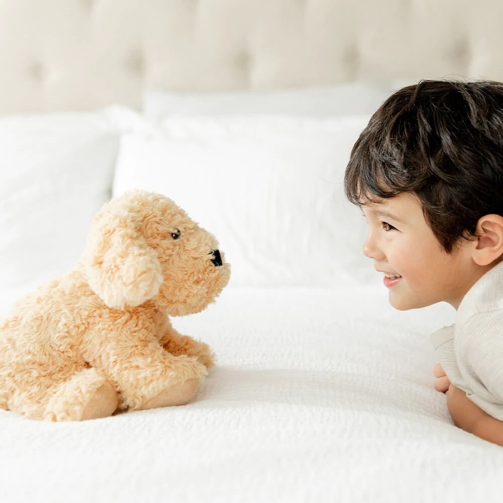 GOLDEN DOG (PELUCHE T&Eacute;RMICO)