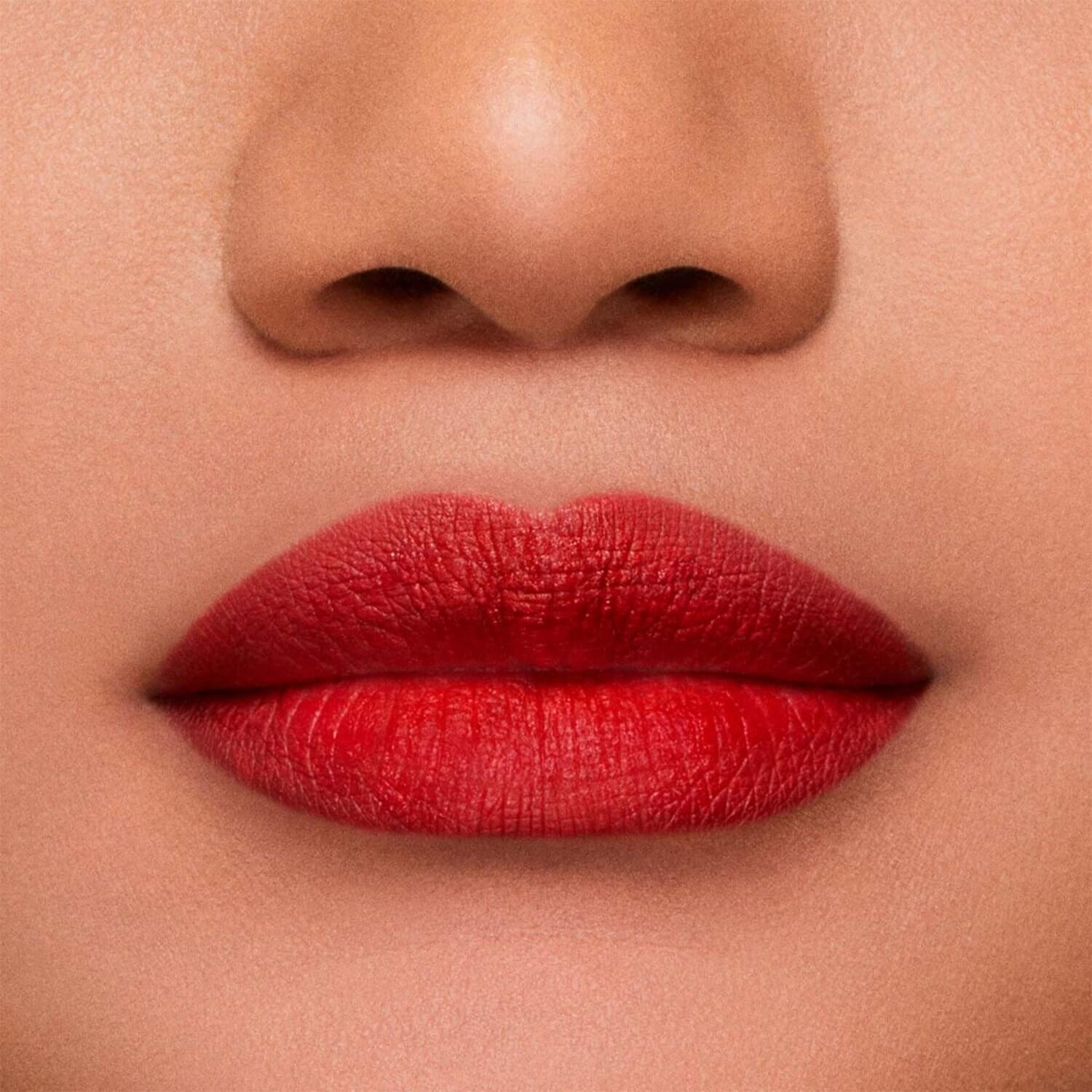 STAY ALL DAY MATTE LIP COLOR (L&Aacute;PIZ LABIAL)
