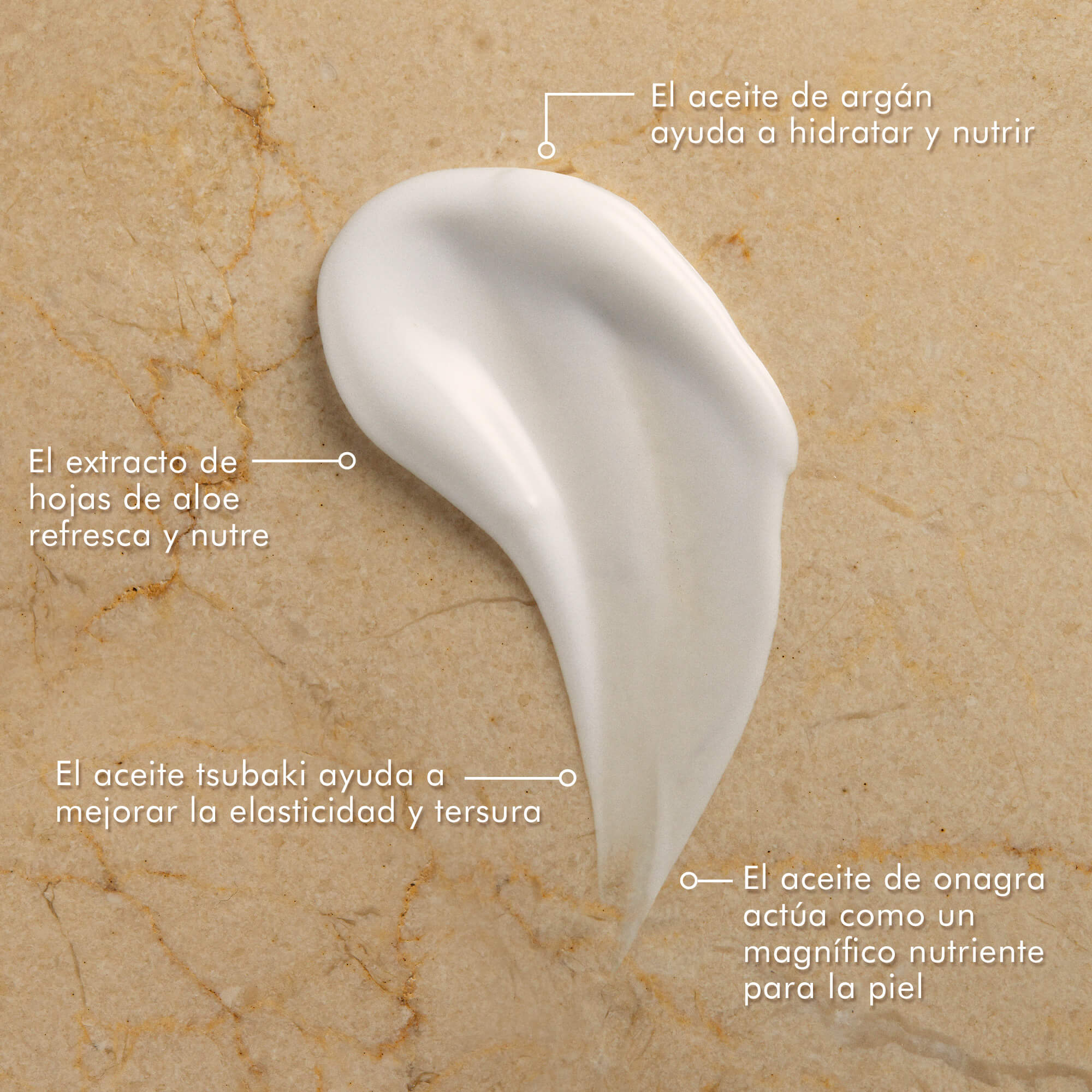 BODY LOTION (LOCI&Oacute;N CORPORAL)