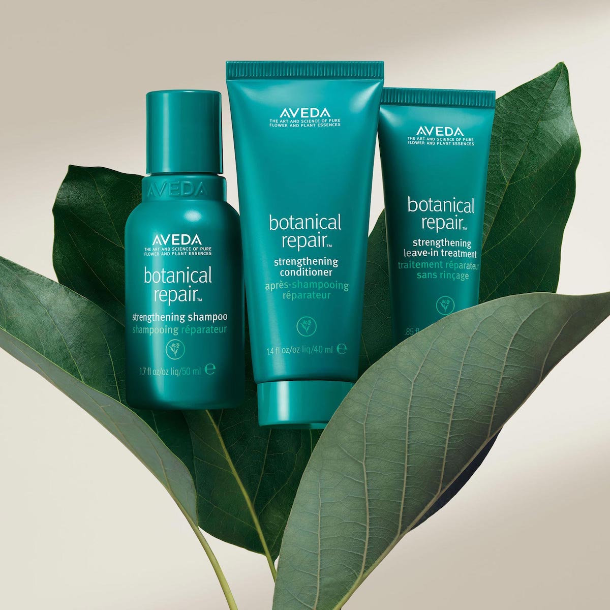 BOTANICAL REPAIR DISCOVERY SET (SET PARA CABELLO)