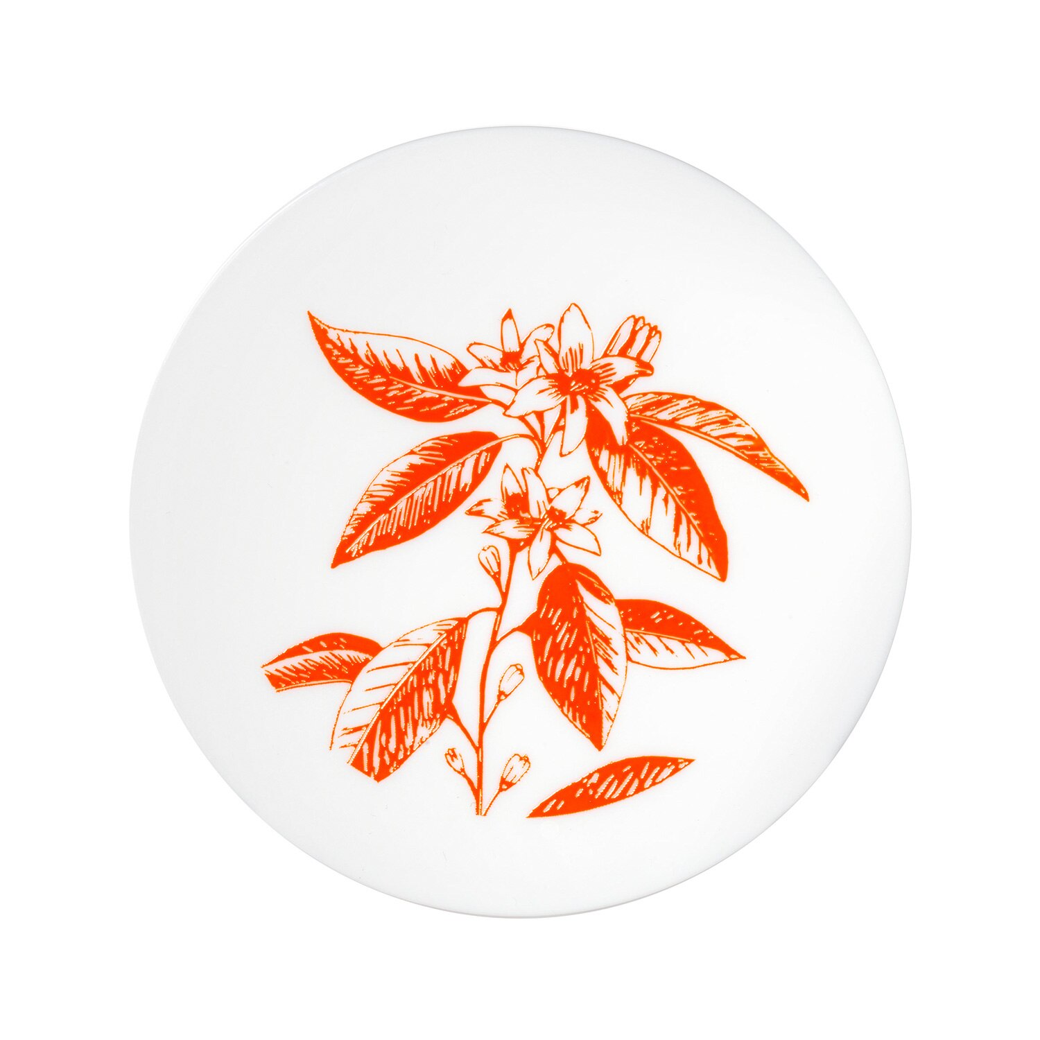 GINZING&trade; ULTRA-HYDRATING ENERGY-BOOSTING CREAM