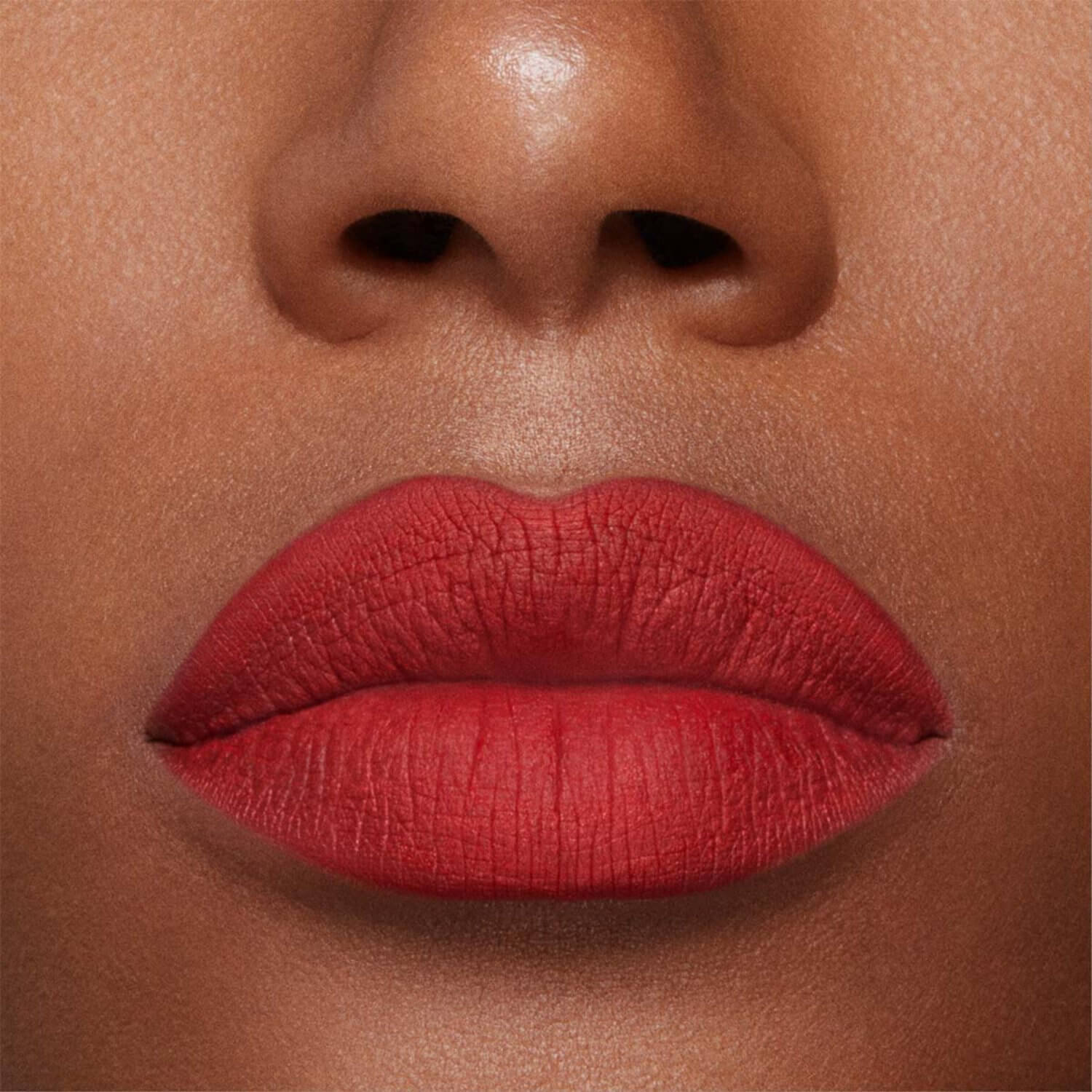 STAY ALL DAY MATTE LIP COLOR (L&Aacute;PIZ LABIAL)