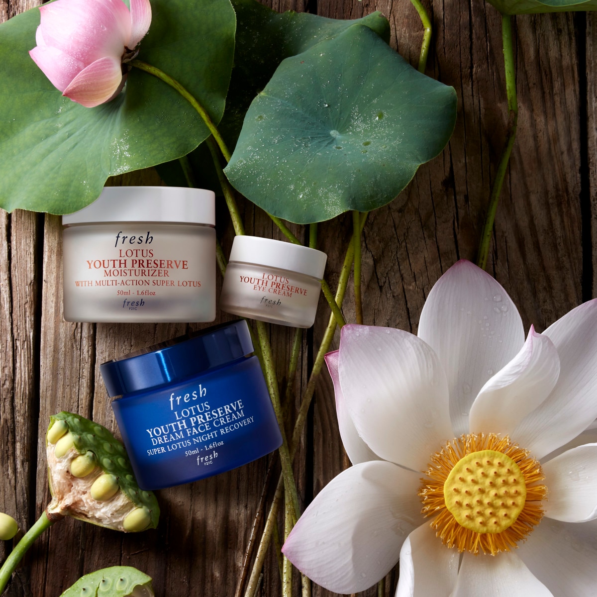 LOTUS YOUTH PRESERVE CREAM ANTIOX  (CREMA HIDRATANTE)