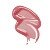 BIG PINK ENERGY