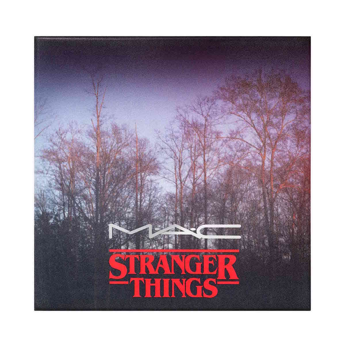 POWDER BLUSH STRANGER THINGS (RUBOR)