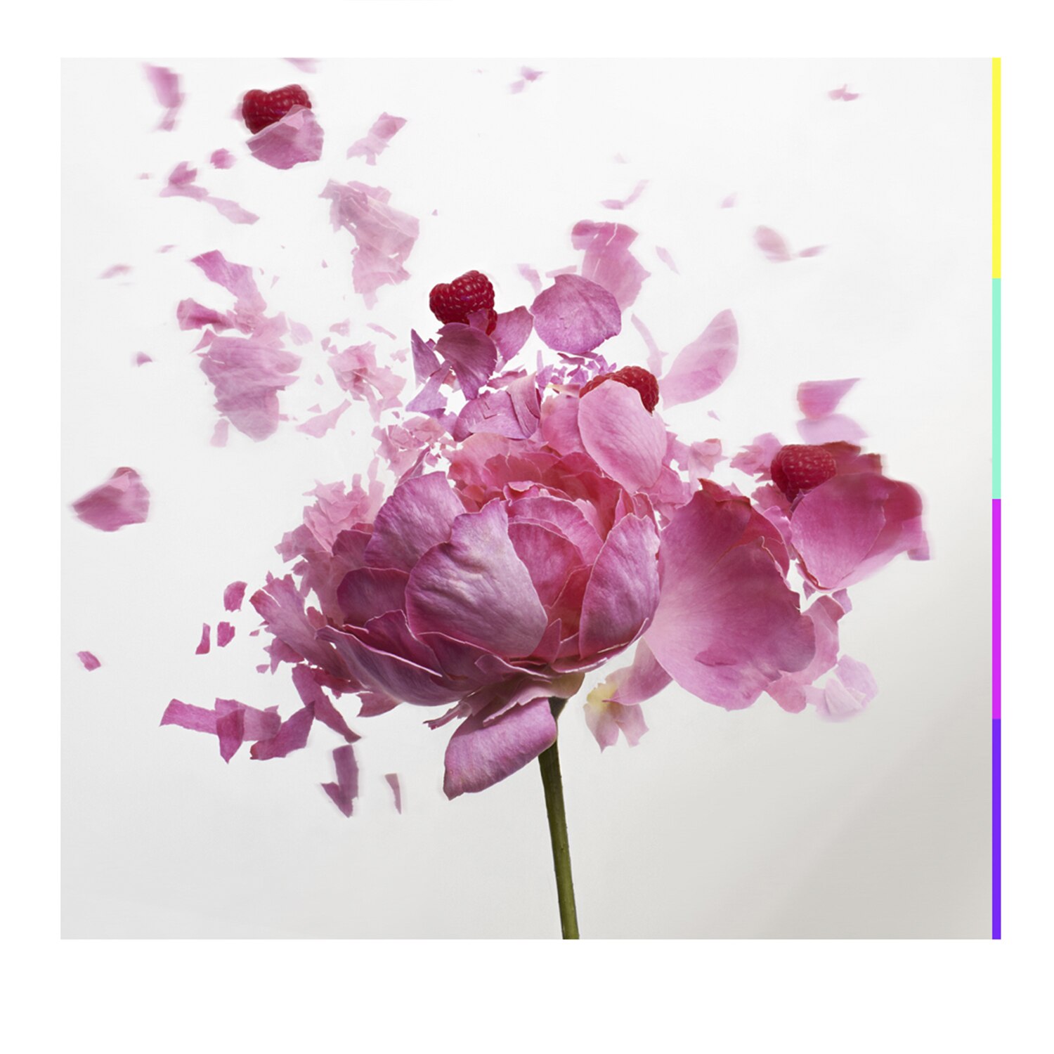 L'EXTASE ROSE EAU DE TOILETTE 80ML