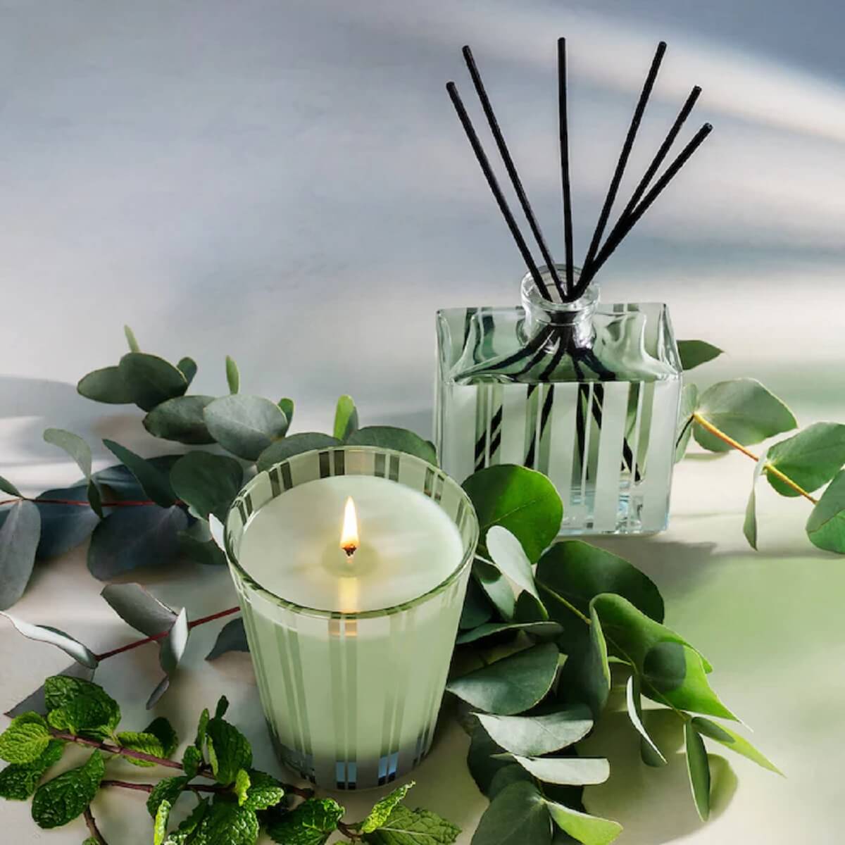 WILD MINT & EUCALYPTUS CANDLE (VELA AROM&Aacute;TICA)
