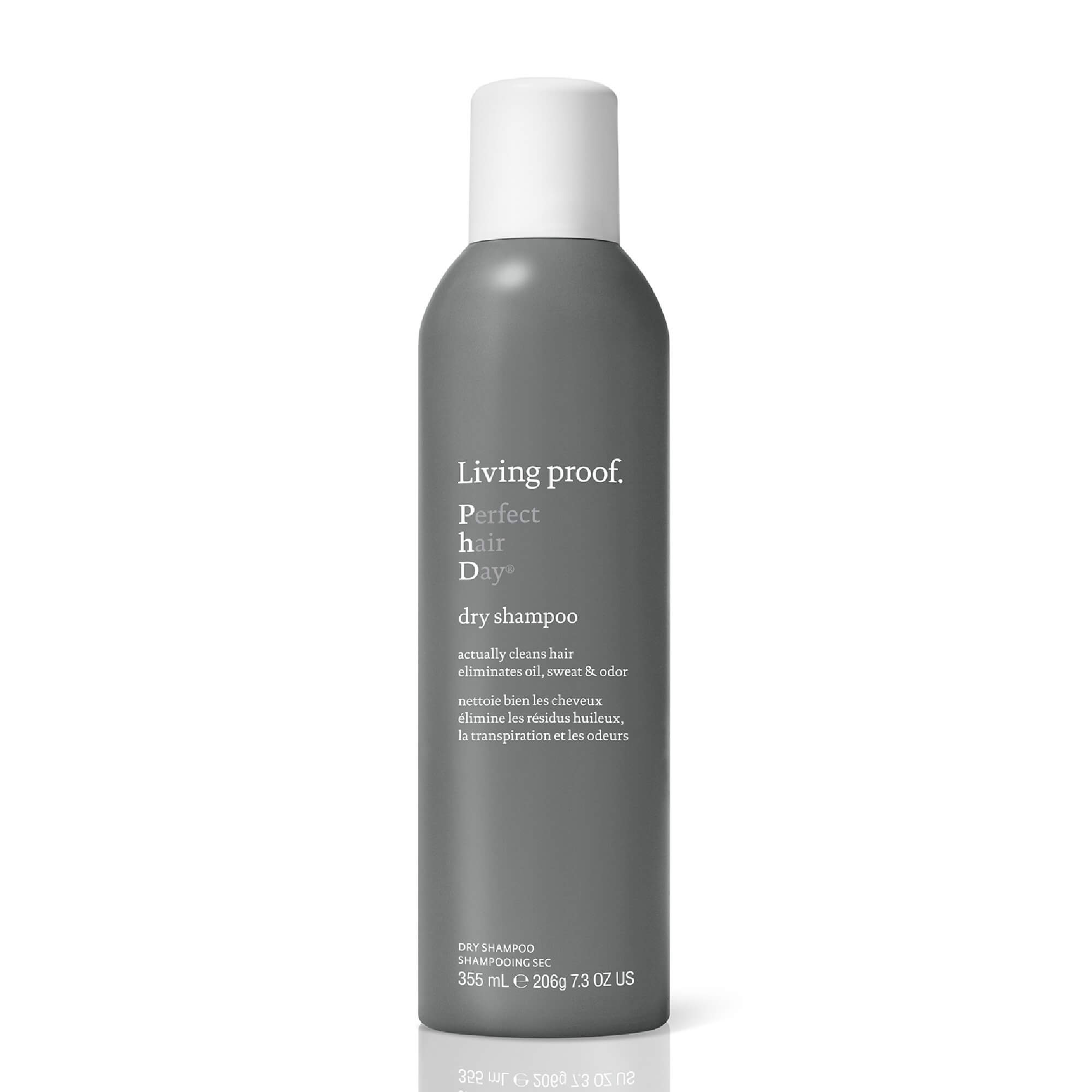 PERFECT DAY HAIR DRY SHAMPOO (SHAMPOO EN SECO)