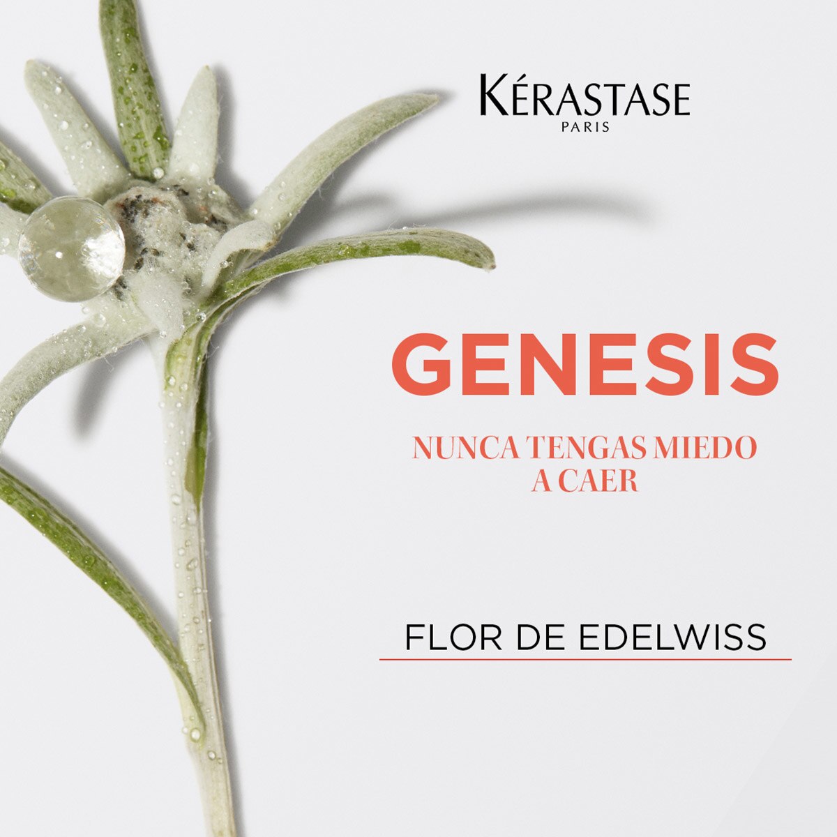 GENESIS D&Eacute;FENSE THERMIQUE 150 ML