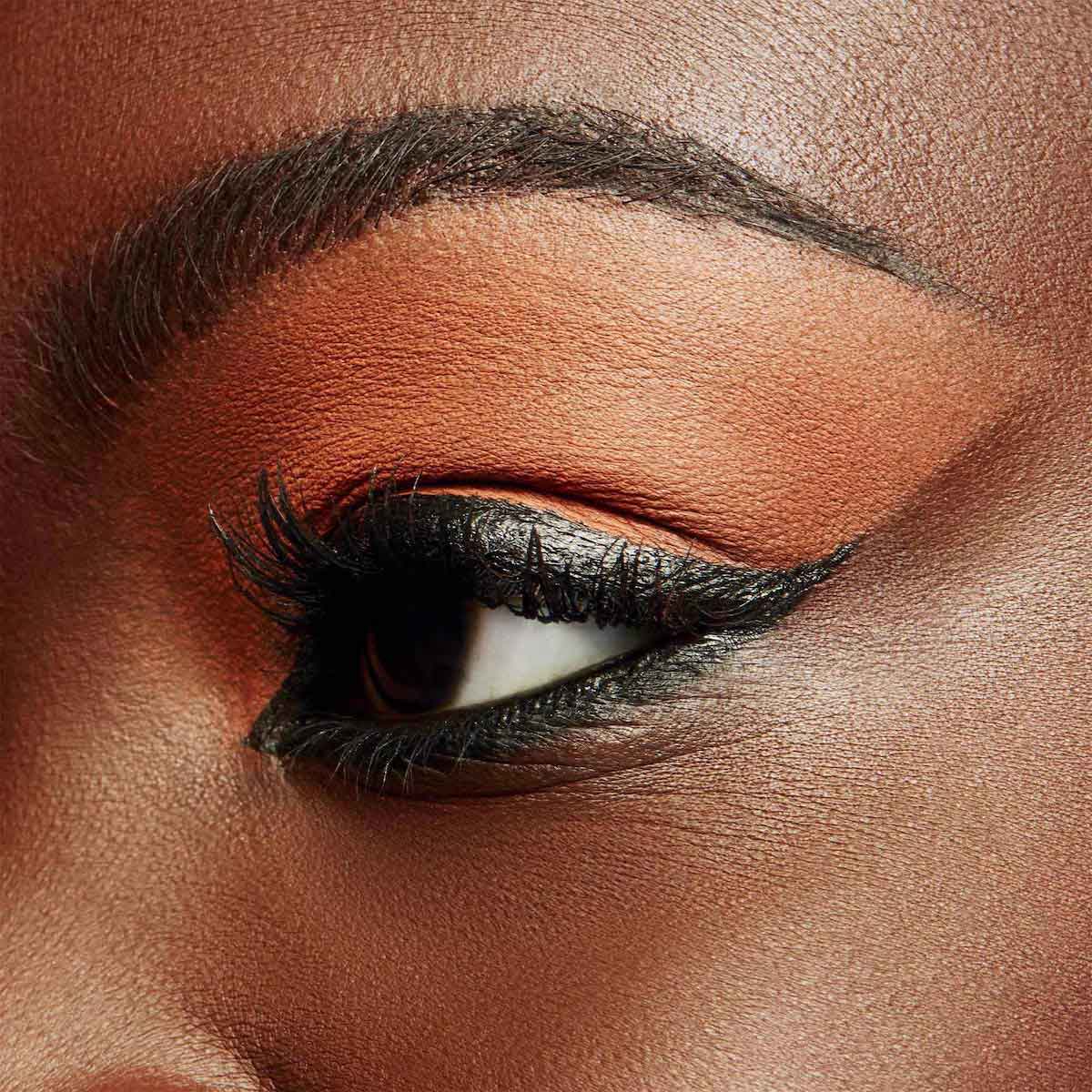 PRO LONGWEAR PAINT POT (PRIMER DE OJOS)