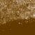 Brown Sugar   Soft Medium
