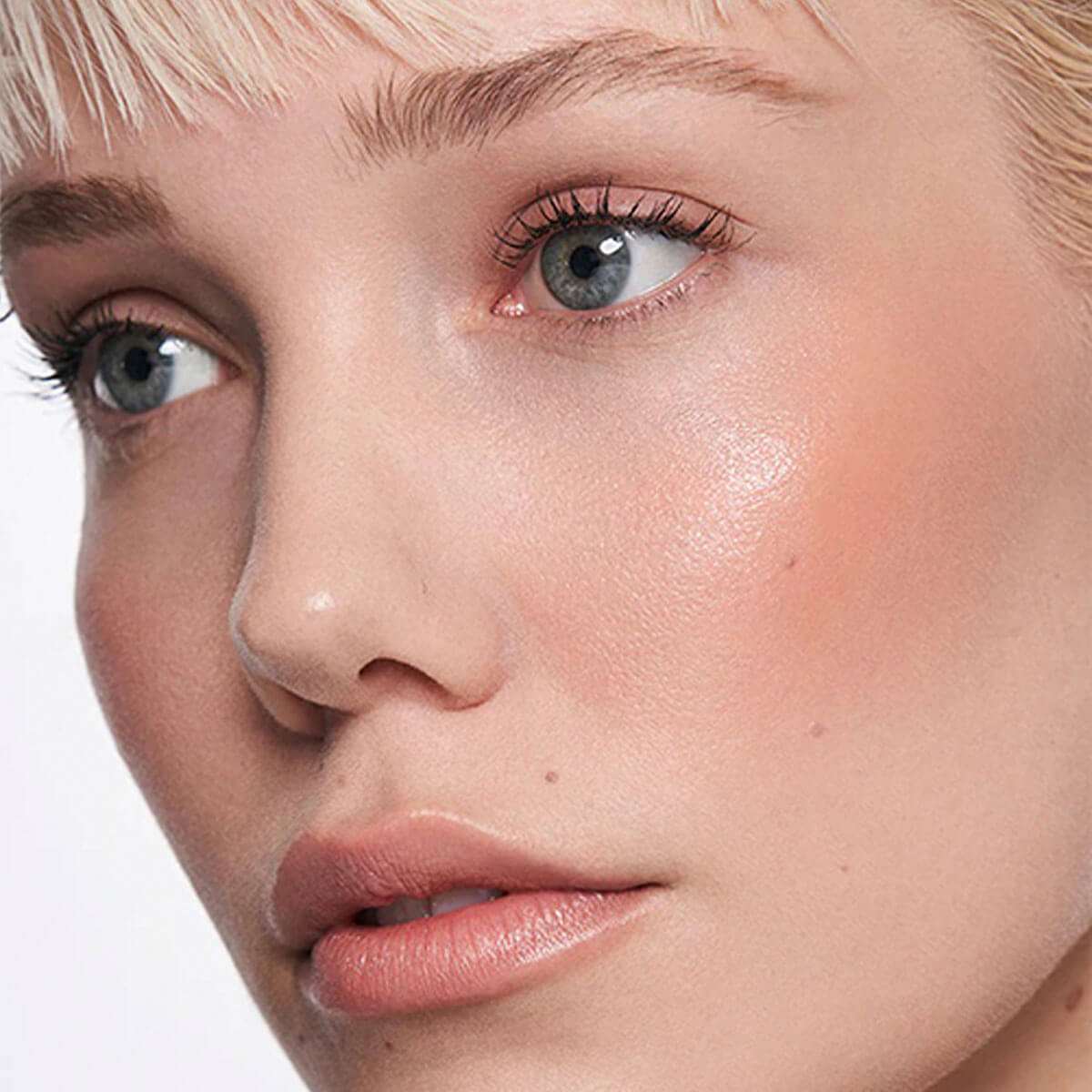 HARMONY LIP&CHEEK SHEER (L&Aacute;PIZ LABIAL Y RUBOR)
