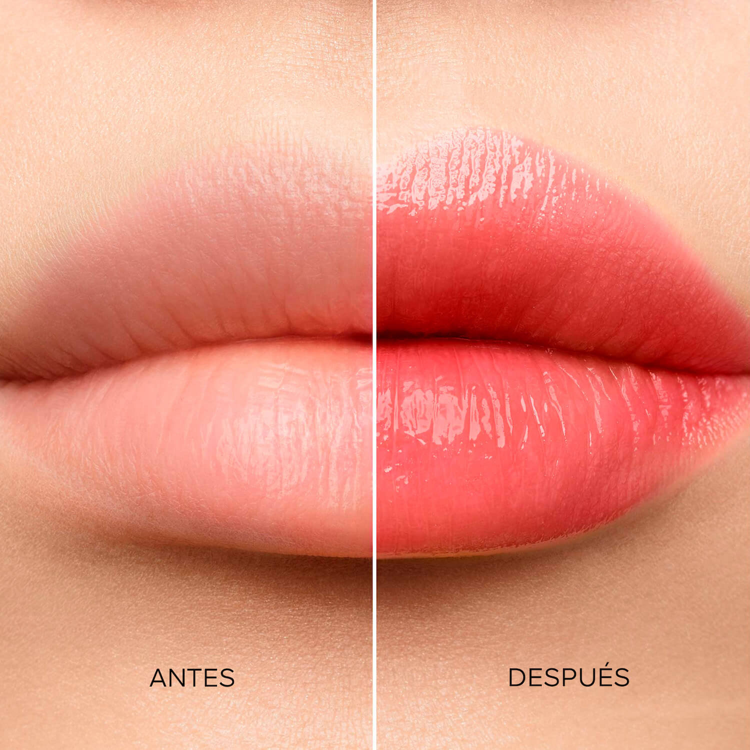 KISSKISS BEE GLOW (B&Aacute;LSAMO DE LABIOS)