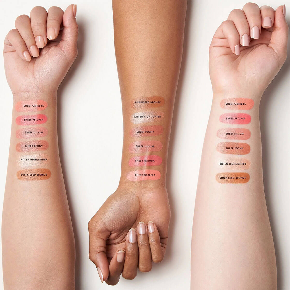 HARMONY LIP&CHEEK SHEER (L&Aacute;PIZ LABIAL Y RUBOR)