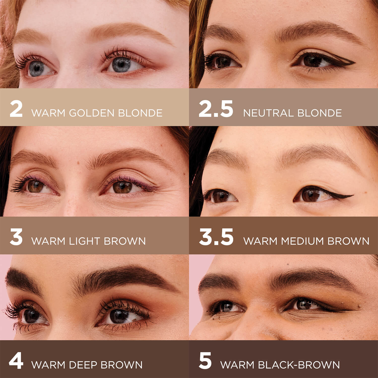 SET JOLLY BROW BUNCH BROW (SET PARA CEJAS)