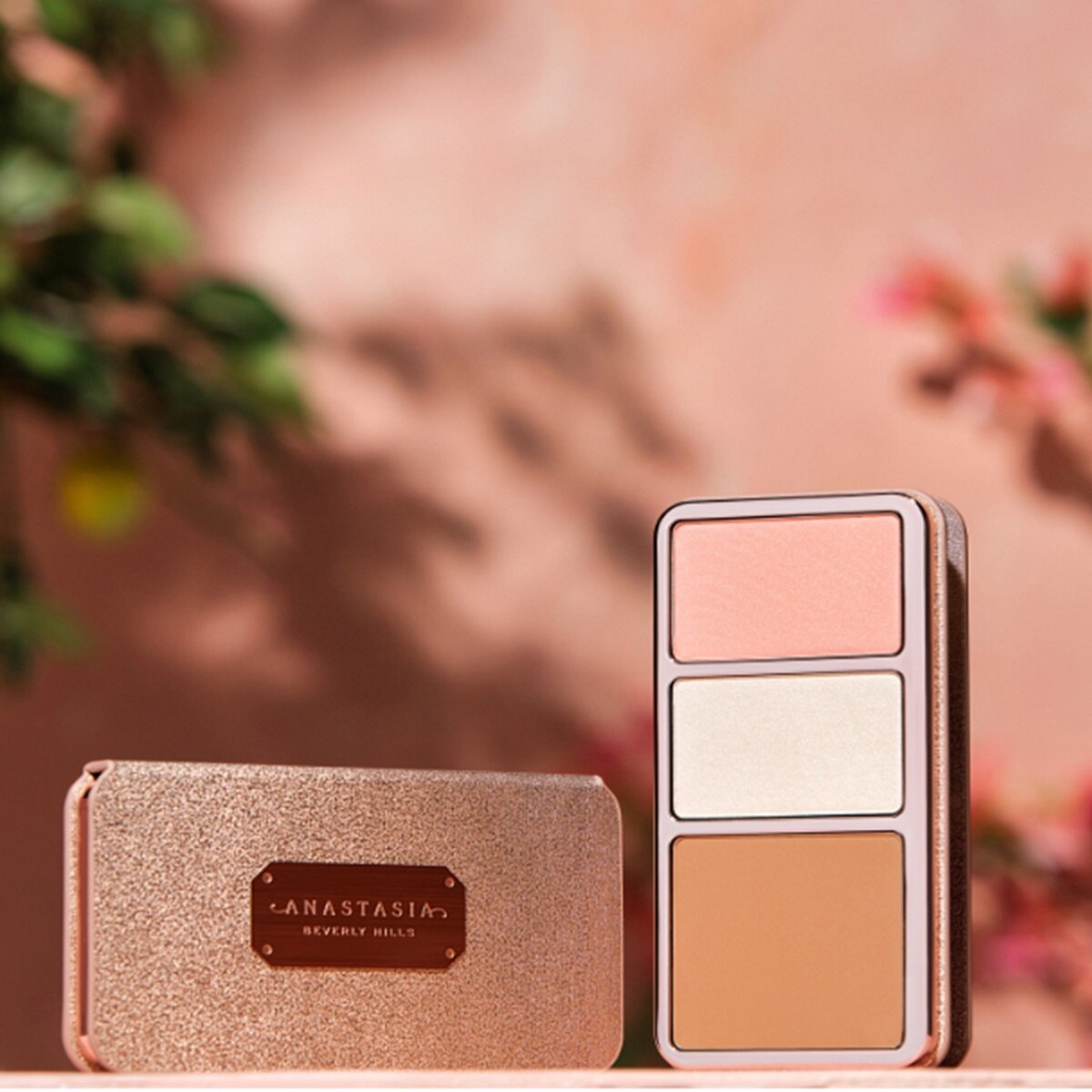 FACE PALETTE (PALETA DE ROSTRO)