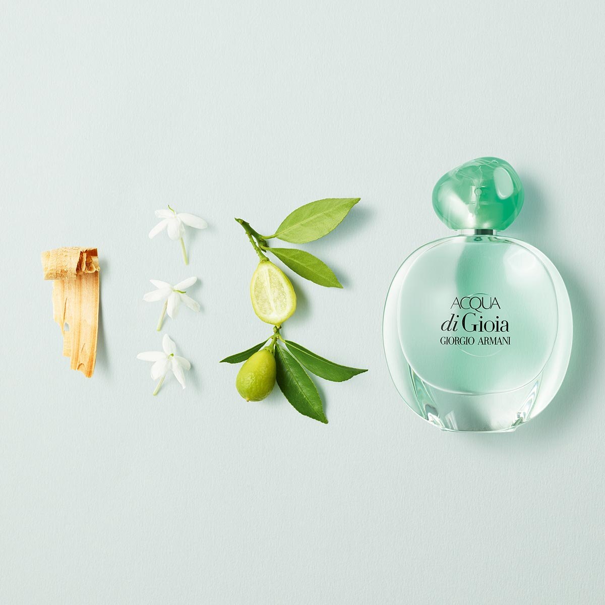ACQUA DI GIOIA EDP 100ML