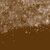 Neutral Nana   Neutral Brown