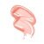 POSH PETAL